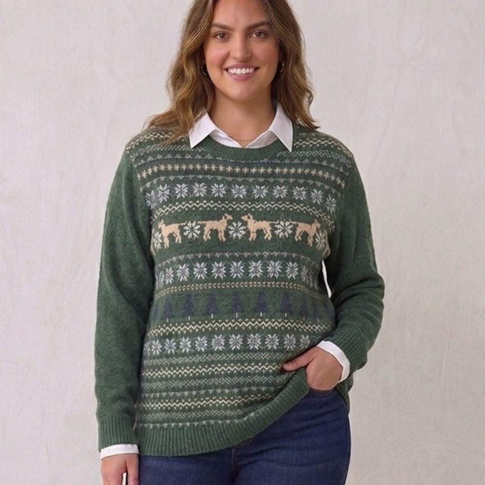 Crown & Ivy Green Fair Isle Dog Sweater Crew Neck Eclectic Grandpa Kawaii Dog L